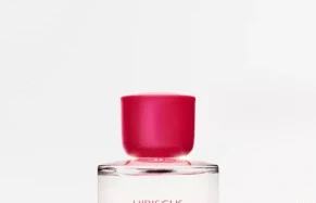 Hibiscus Zara Bloom 03 3