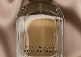 Zara Field Of Nightfall EDP 100ml 1