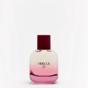 Hibiscus Zara Bloom 03