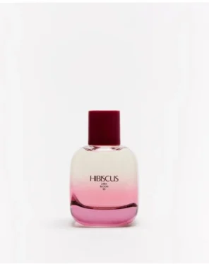 Hibiscus Zara Bloom 03