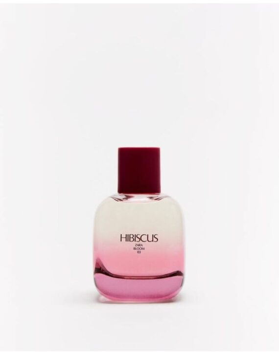 Hibiscus Zara Bloom 03