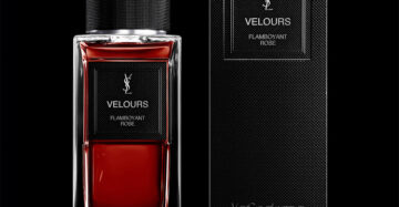 YSL VELOURS EAU DE PARFUM 75ml 1
