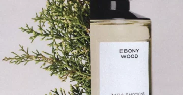 ZARA EBONY WOOD EDP 100ML 3