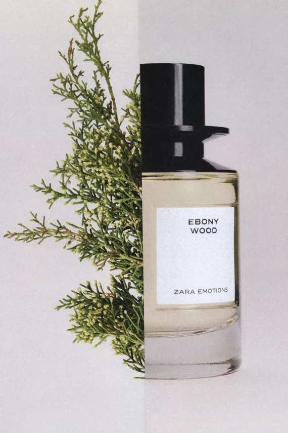 ZARA EBONY WOOD EDP 100ML - Image 3