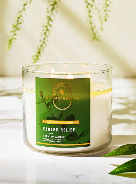 Eucalyptus Spearmint Aromatgerapy Candle