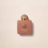 Amouage Guidance