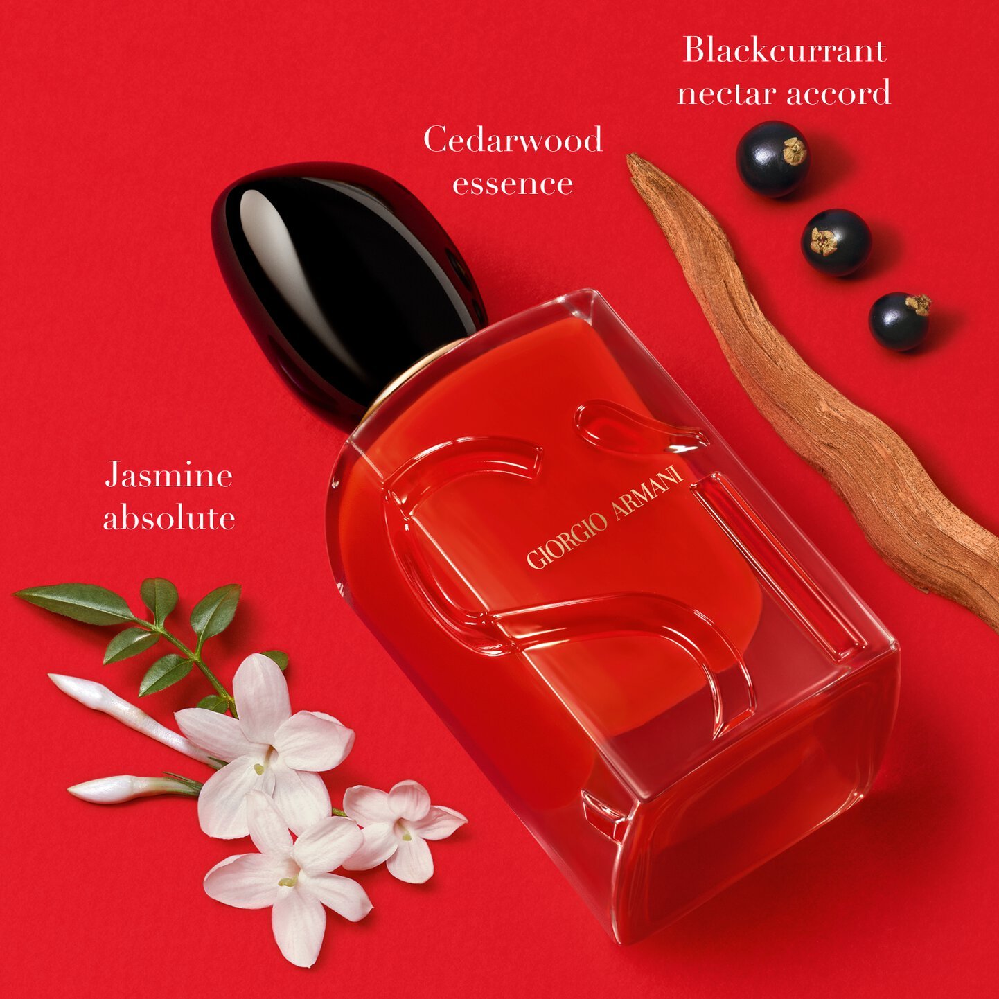 SÌ PASSIONE EAU DE PARFUM Giorgio Armani 6 SÌ PASSIONE EAU DE PARFUM Giorgio Armani - Image 4