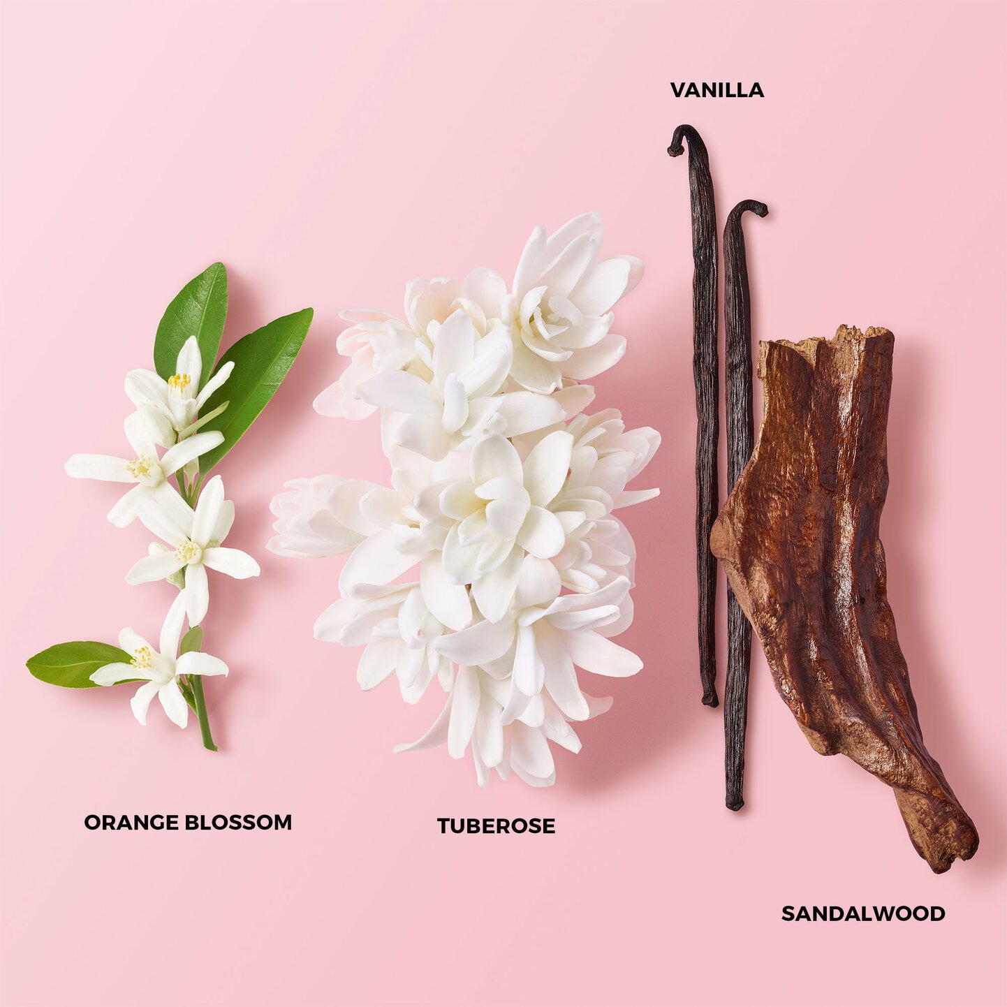 MY WAY EAU DE PARFUM INTENSE Giorgio Armani 6 MY WAY EAU DE PARFUM INTENSE Giorgio Armani - Image 4