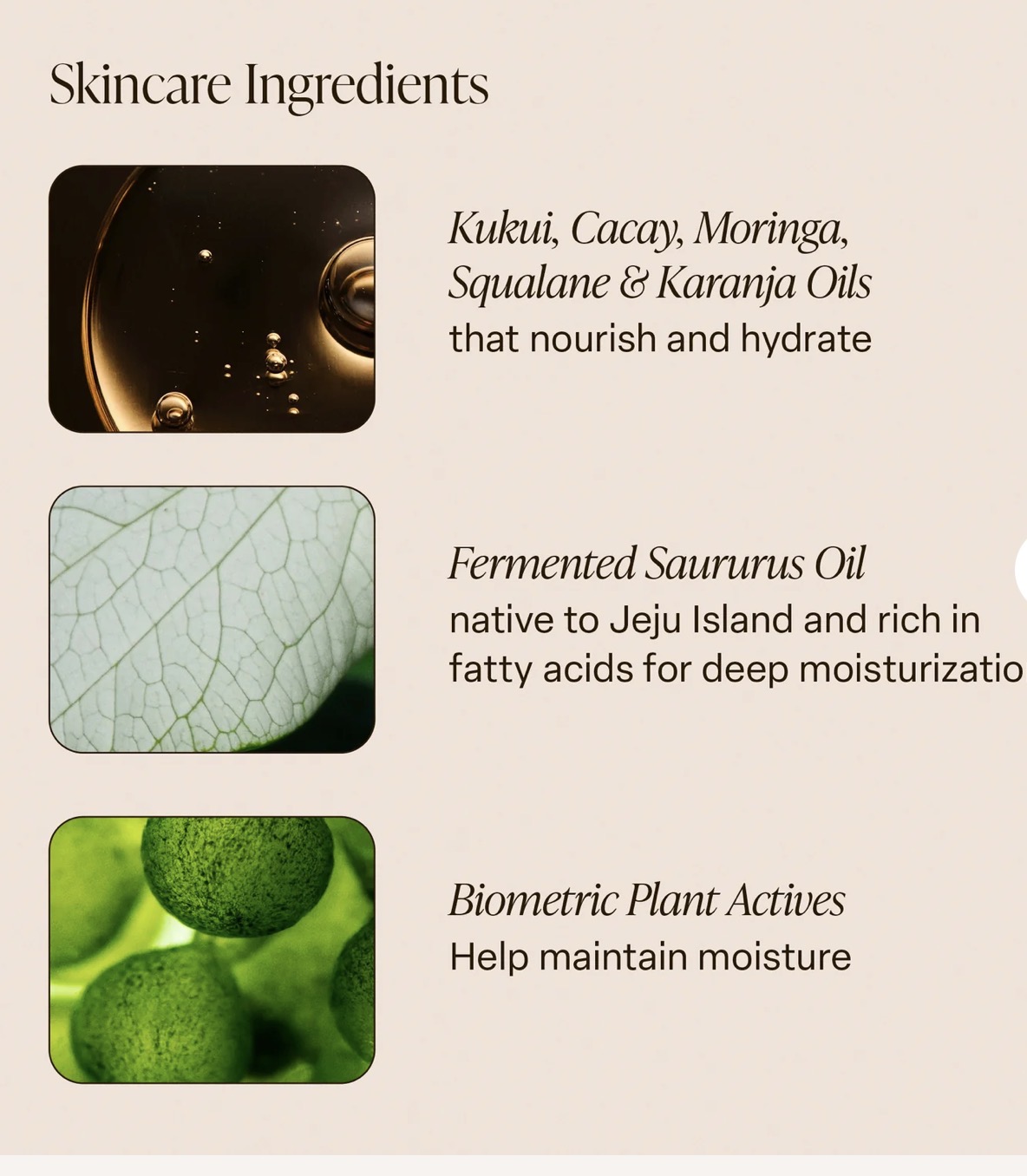 DRIFTWOOD NOURISHING BODY OIL SALTAIR DRIFTWOOD NOURISHING BODY OIL SALTAIR - Image 2