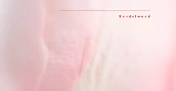 WONDER ROSE CRUSH EDP 90 ML 2